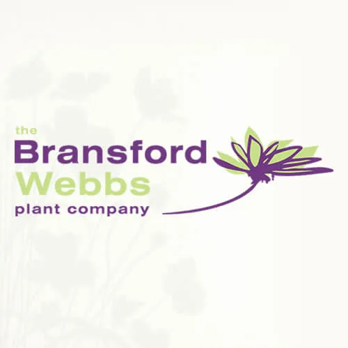 Bransford Webb